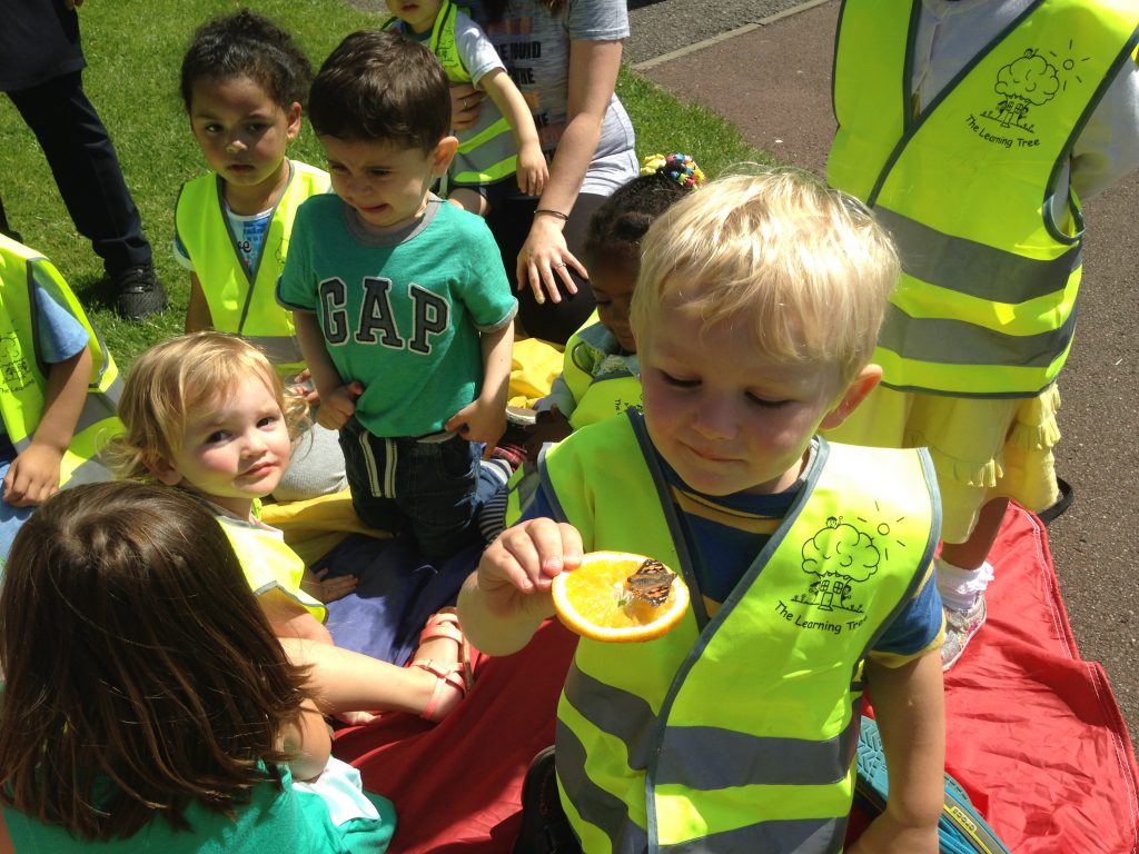 The Learning Tree Nursery The Learning Tree Nursery